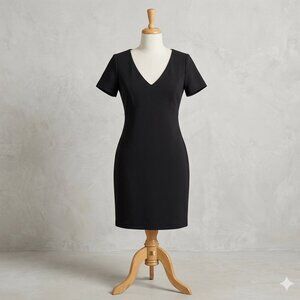 Betsey Johnson Black V-Neck Fit & Flare Dress Size 2 Classic Cherry Lining